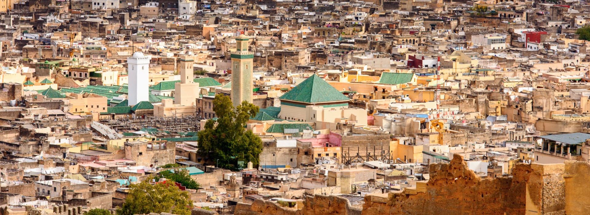 Fez City Panorama