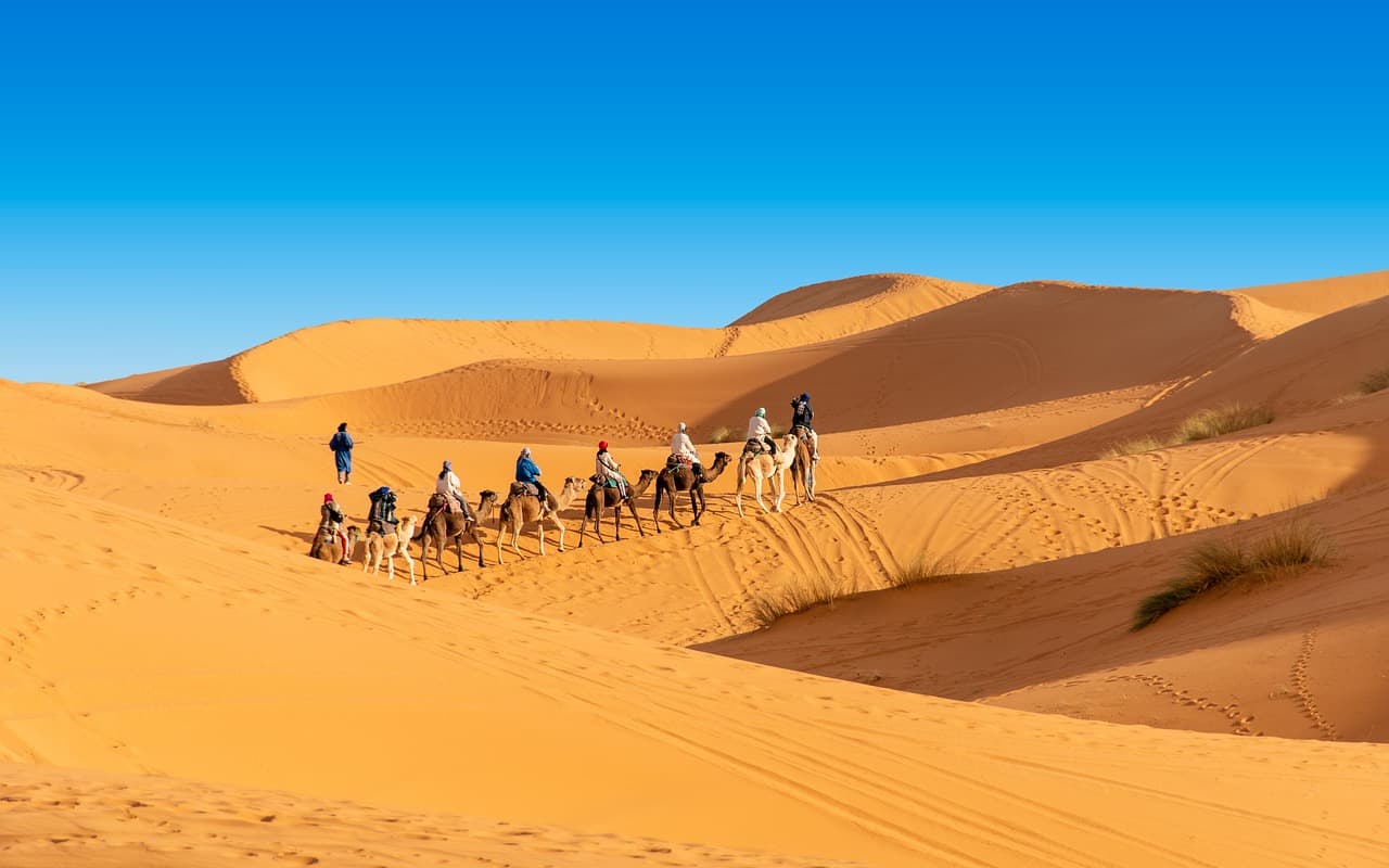 Camel caravan in the Sahara Desert