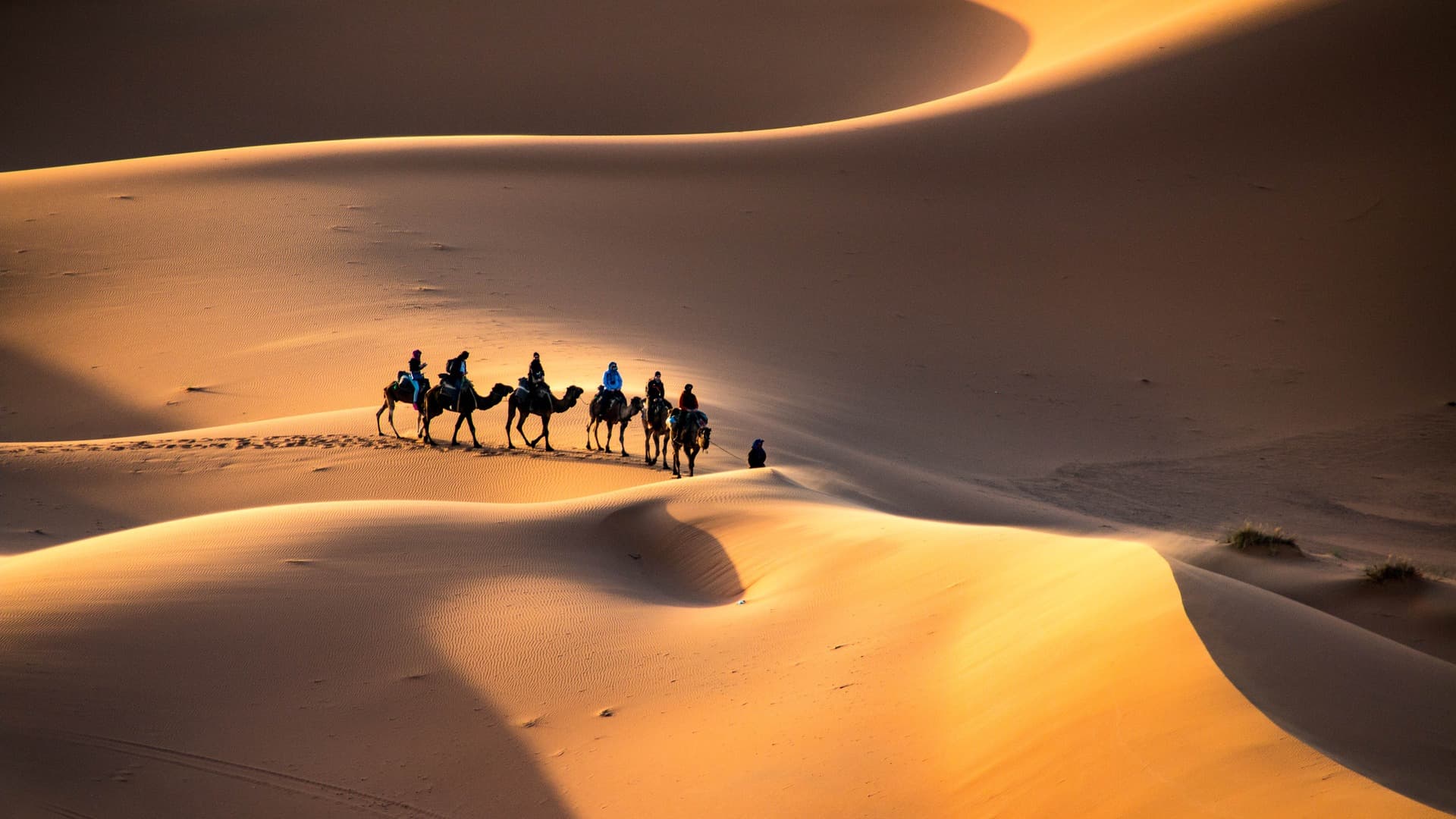 High dunes of Erg Chebbi in Merzouga