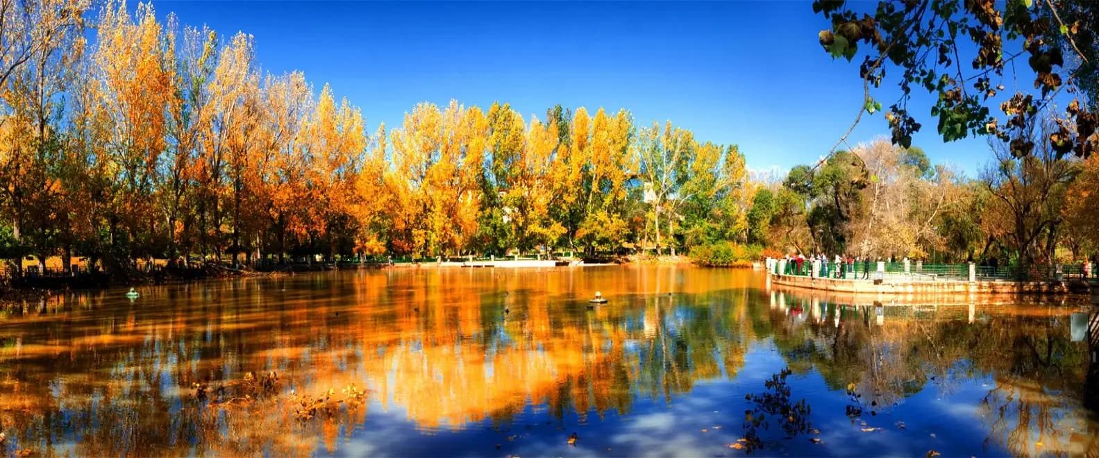 Ifrane Middle Atlas Panorama