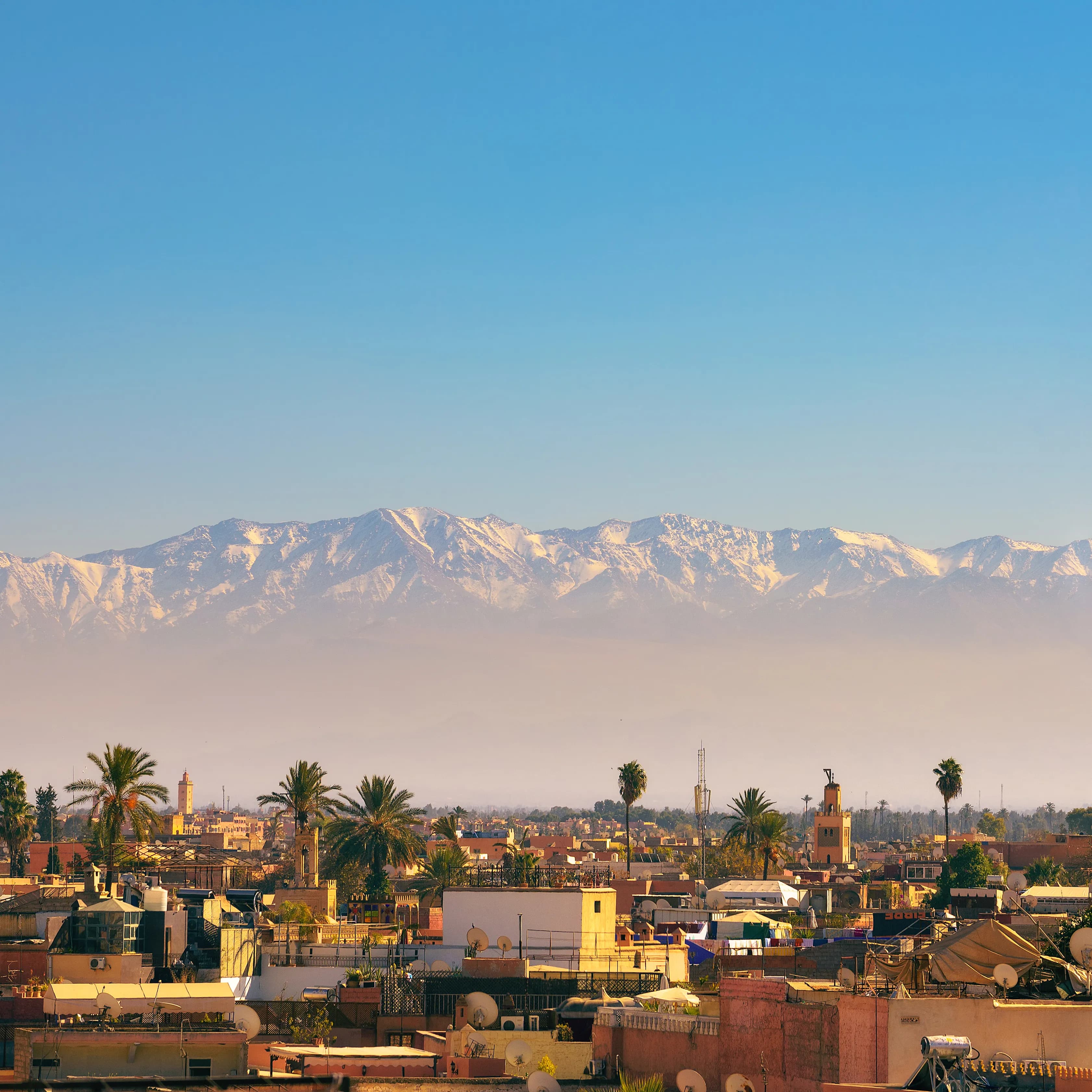 Marrakech Medina with Atlas Mountains