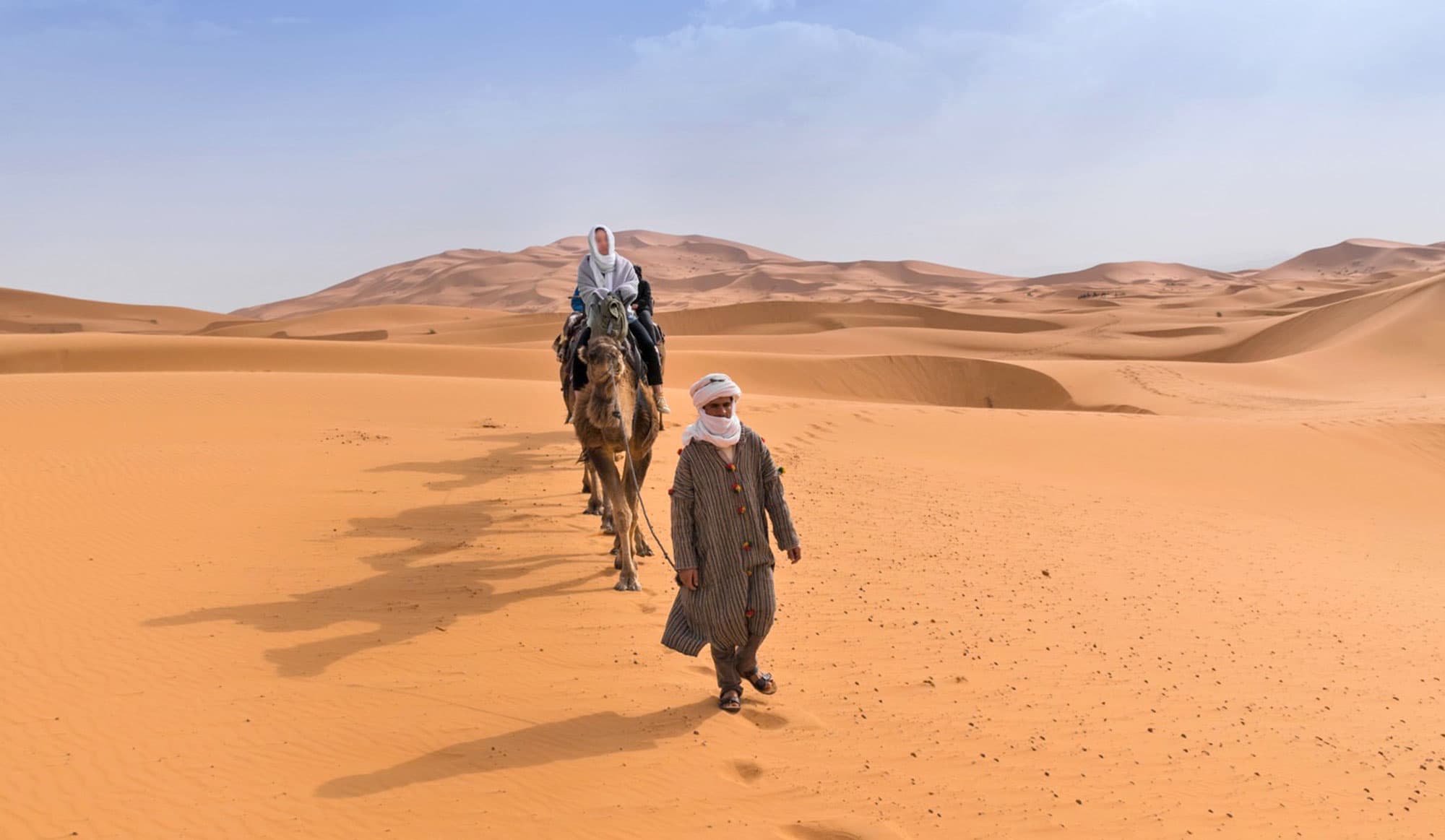 Camel in Erg Lihoudi dunes